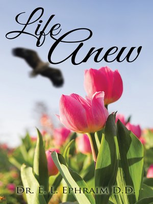 cover image of Life Anew